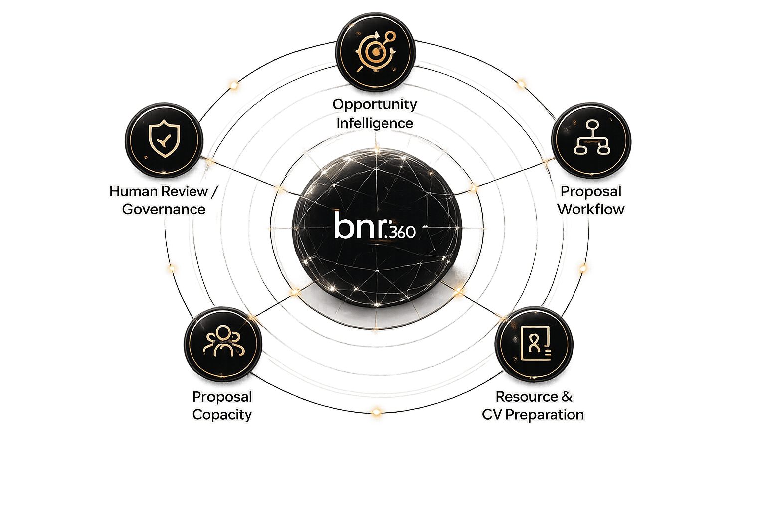 Bidding and proposal operations around opportunity intelligence, workflow, resource preparation, capacity and governance